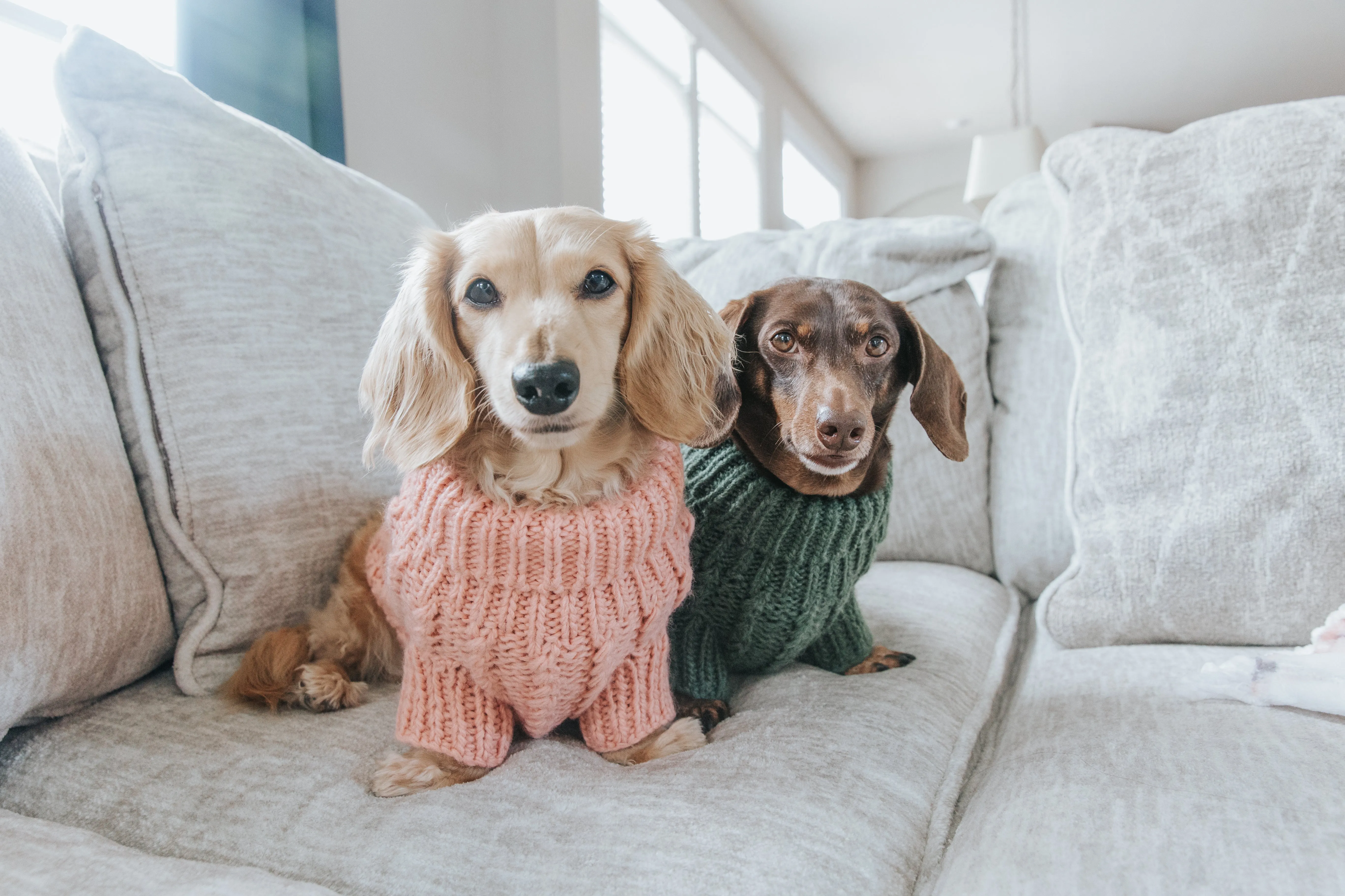 Dog Cable Knit Sweater - Pink