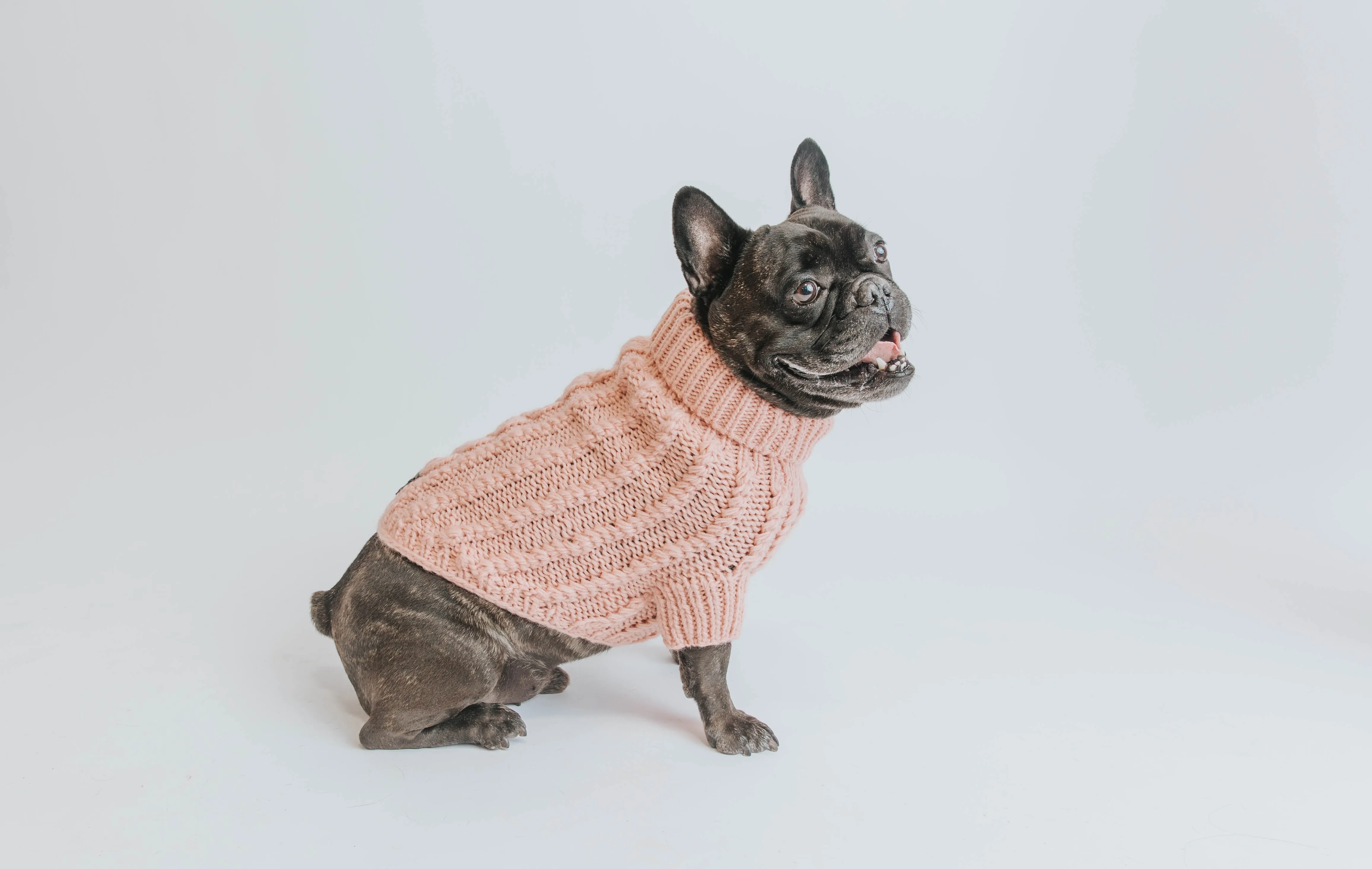 Dog Cable Knit Sweater - Pink