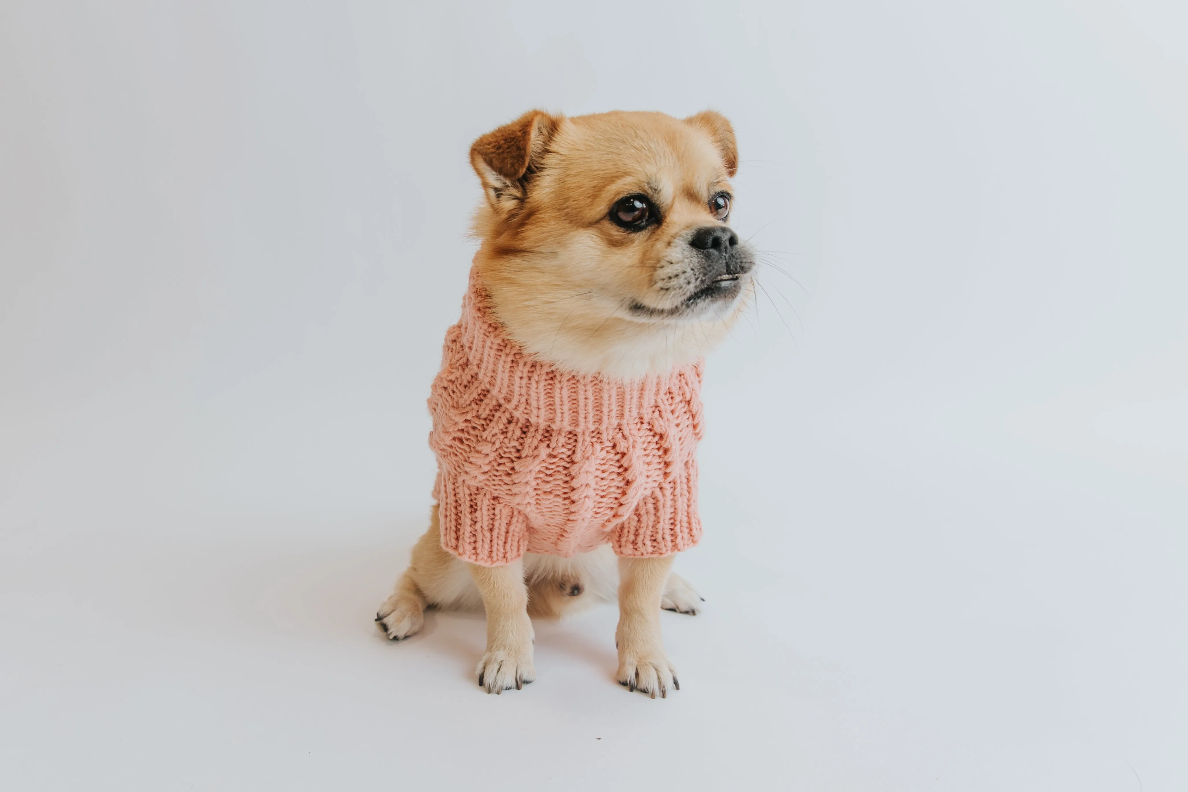 Dog Cable Knit Sweater - Pink