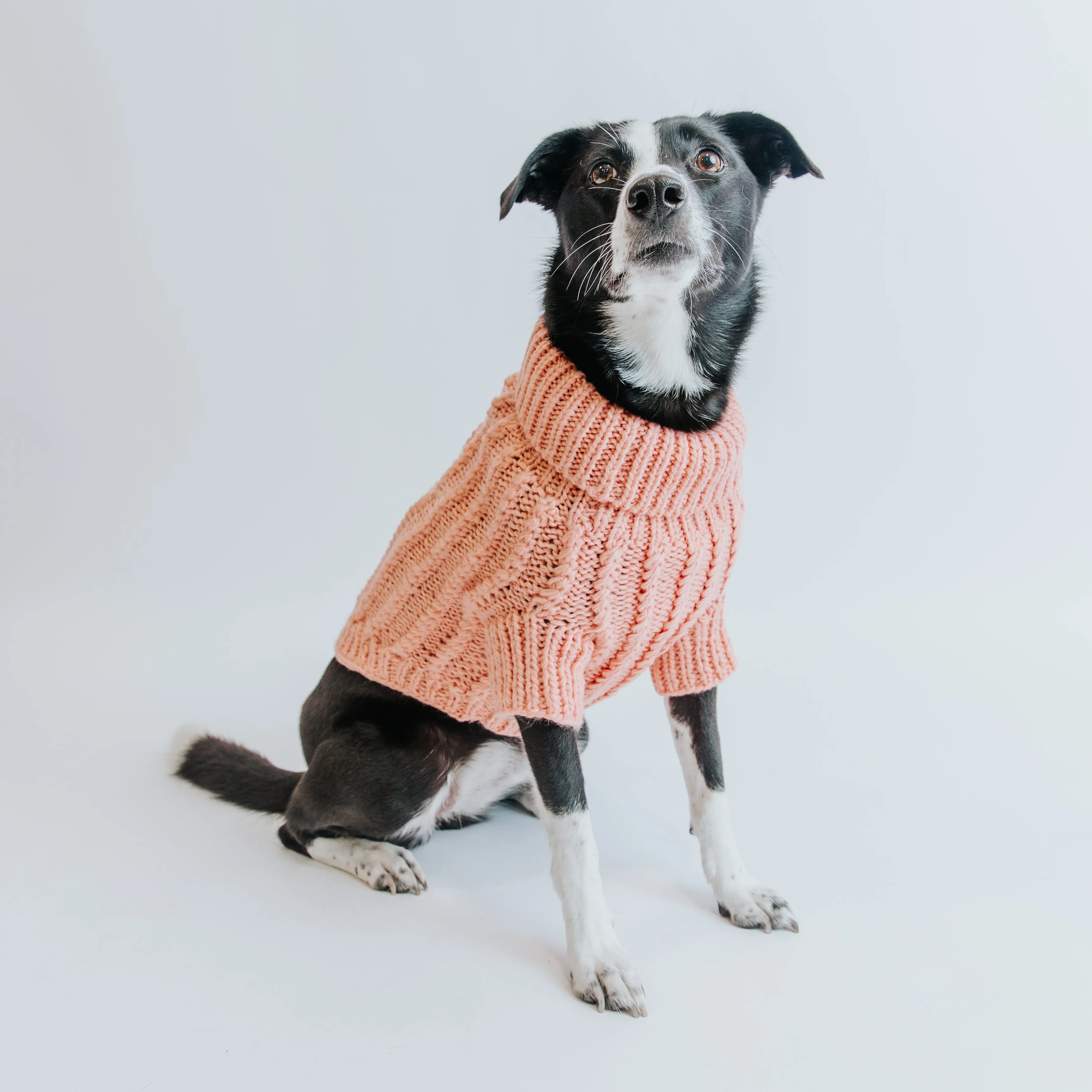 Dog Cable Knit Sweater - Pink