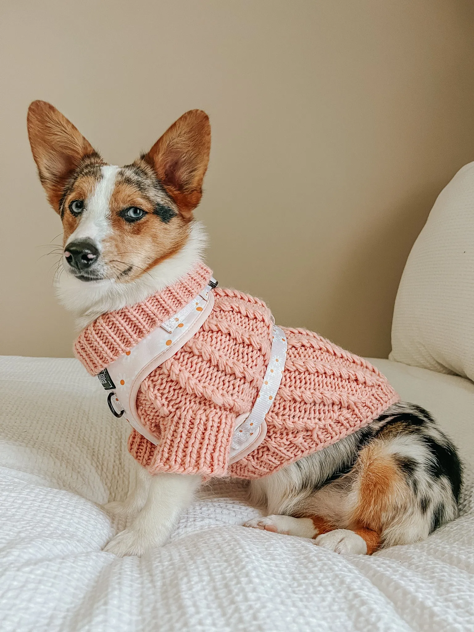 Dog Cable Knit Sweater - Pink