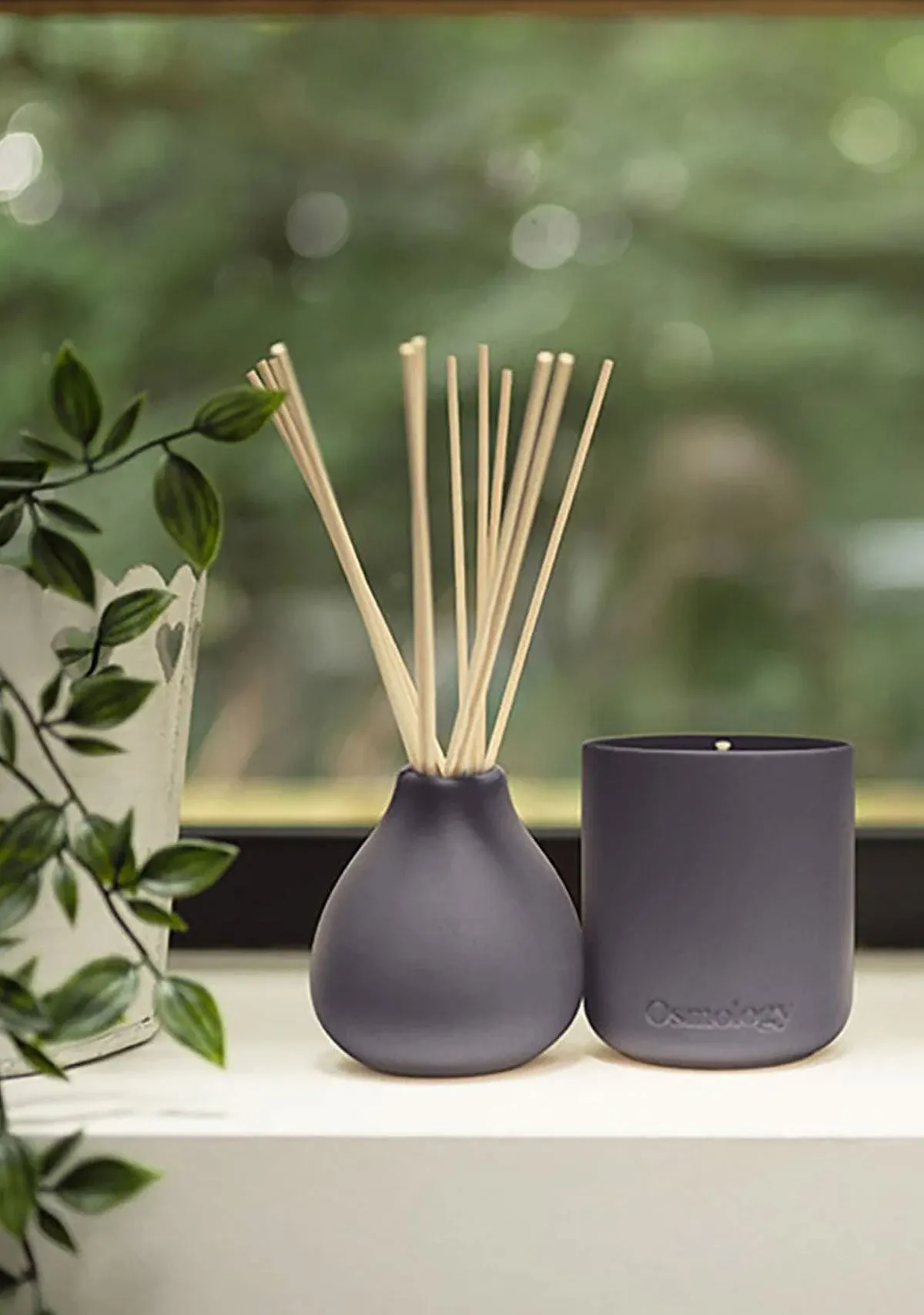 Indian Sandalwood Reed Diffuser